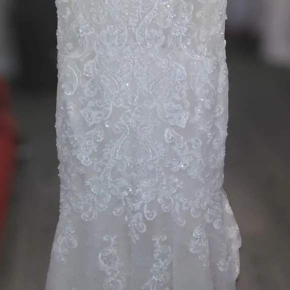 Elegant Cream Lace Wedding Dress - Picture 4 of 10
